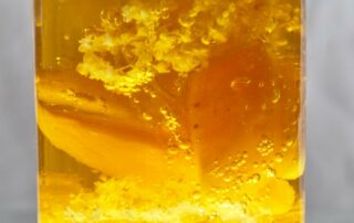 Einfaches, fruchtiges Gelee-Rezept, Markus Kranz, Melange Göttingen