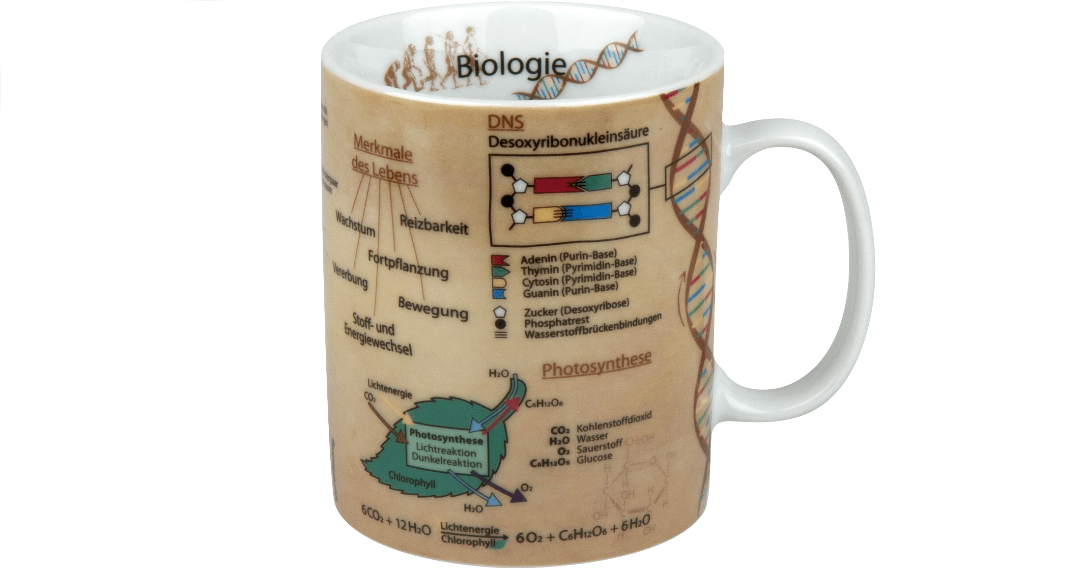 2014_31_03_Produkt_Wissensbecher_Könitz_Biologie_bearbeitet Entdecken sie die Könitz Wissensbecher bei Carl Tode in Göttingen, Kaffeebecher mit wissenschaftlichen Themen, Literatur bis Chemie