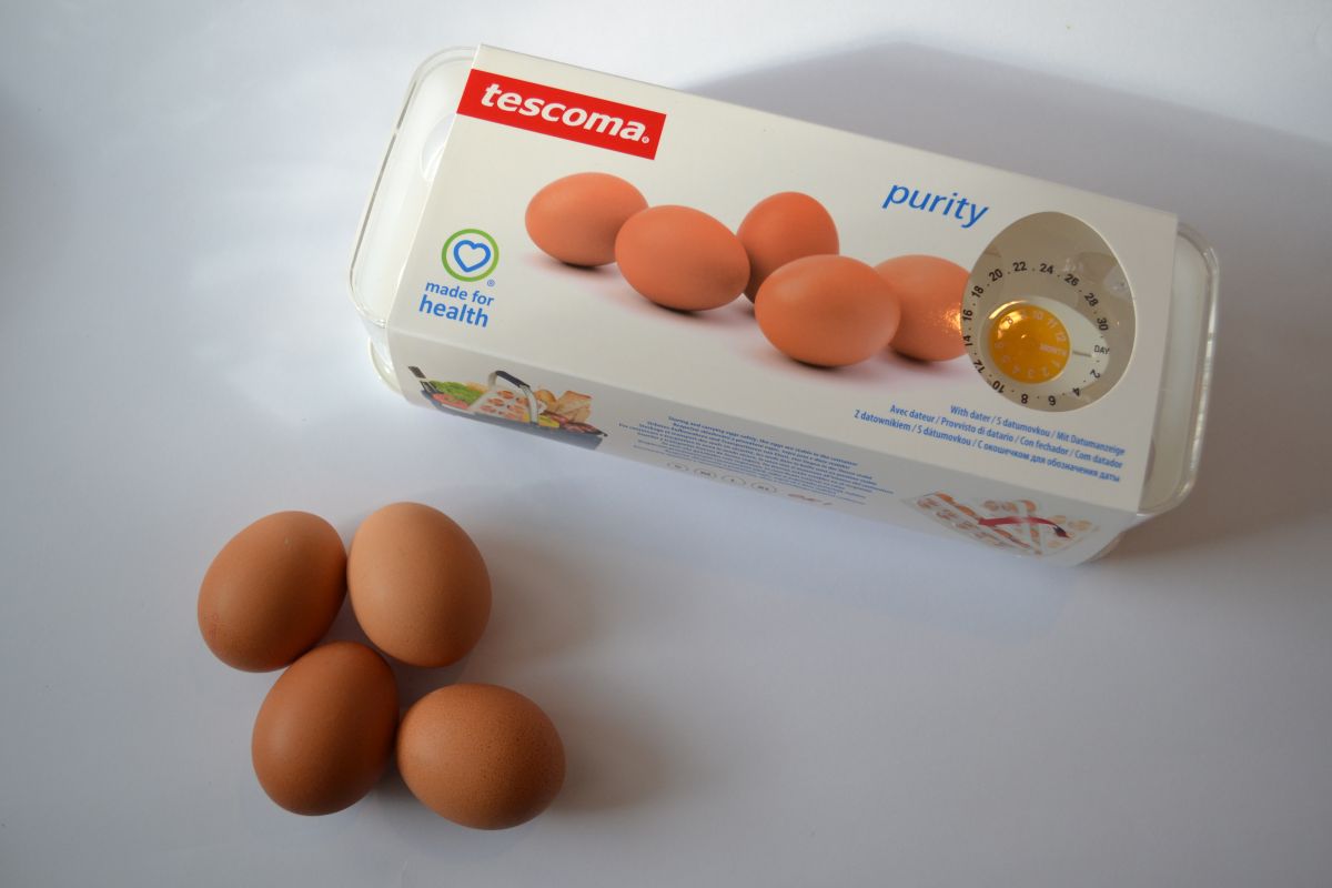 Produkt-Ei-Transportbox-Carl-Tode-Göttingen-01 Tescoma Aufbewahrungsbox für Eier, Carl Tode Göttingen