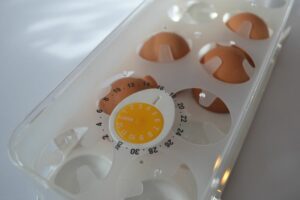 Produkt-Ei-Transportbox-Carl-Tode-Göttingen-02 Tescoma Aufbewahrungsbox für Eier, Carl Tode Göttingen