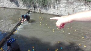 Die Enten haben sich im Strudel verfangen und müssen aufwändig befreit werden, jetzt wird es nochmal spannend, welche Ente schafft das Rennen
