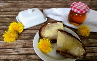 Löwenzahnhonig, Honig, Blüten, vegan, ohne Bienen, Rezept, Carl Tode, Göttingen